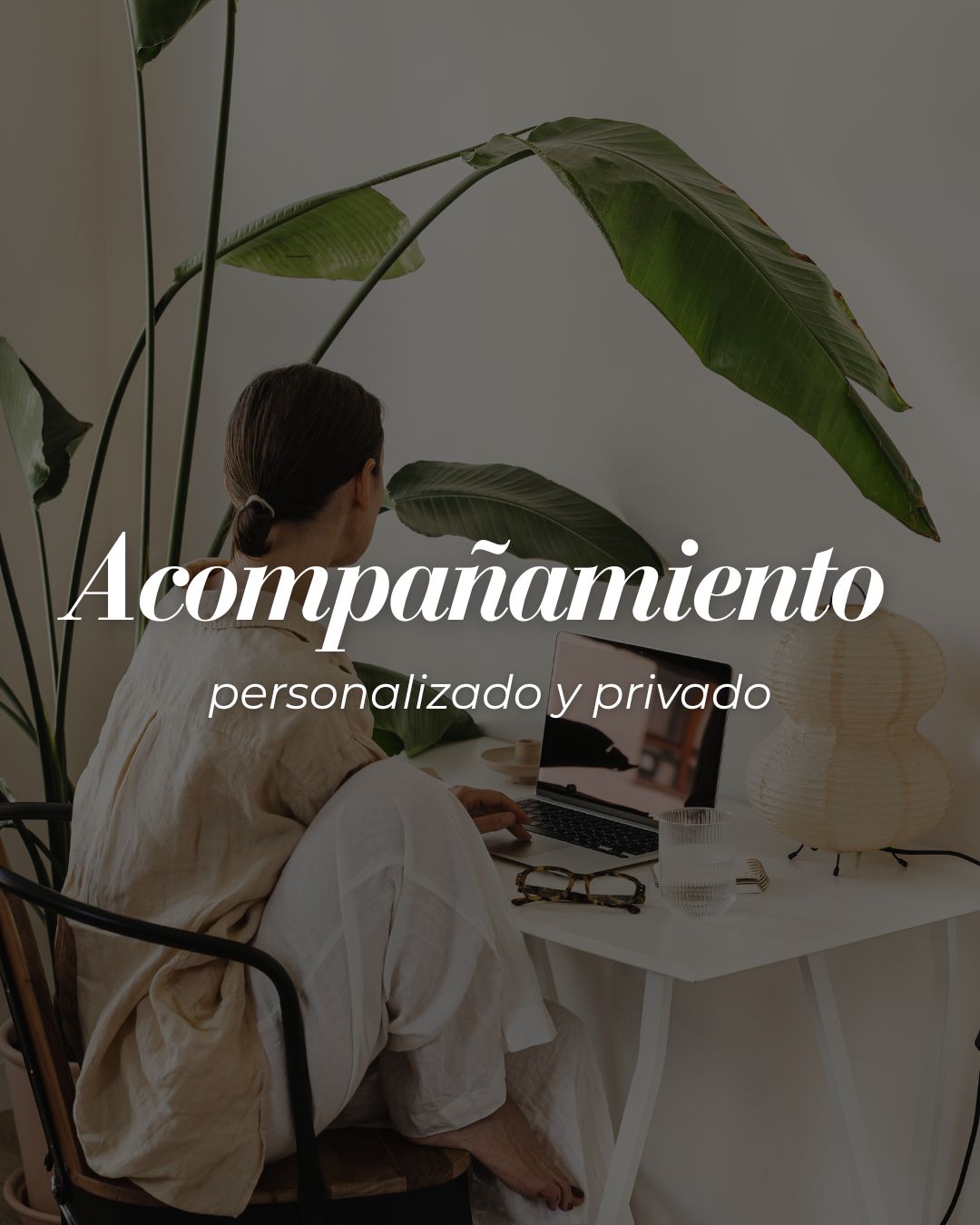imagenes web